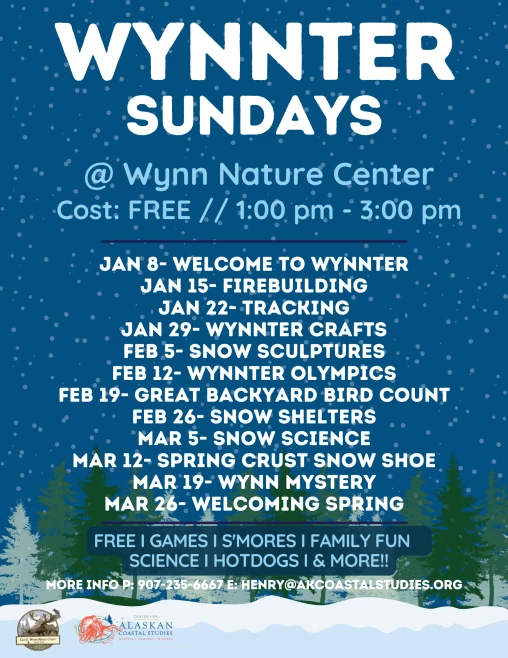Wynnter Sundays Flyer